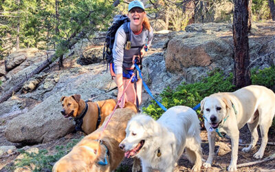 A Day in the Life of a Hike Doggie Franchisee