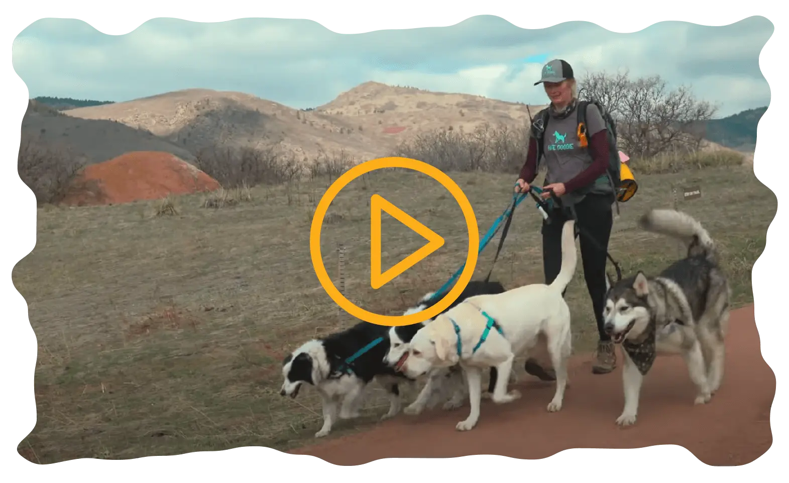 Hike Doggie Franchise Video