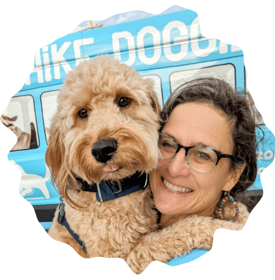 Hike Doggie The Booming Pet Industry