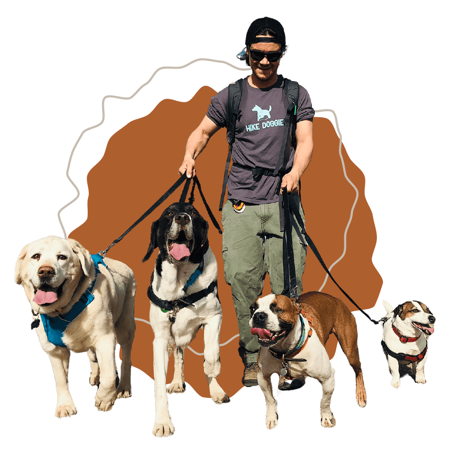 Hike Doggie Franchise Support Benefits