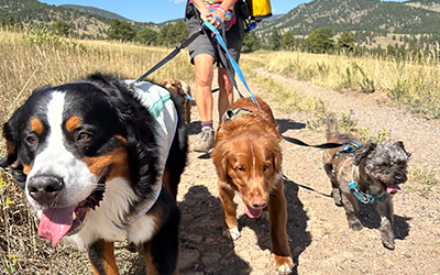 Hike Doggie’s Support System: Helping Franchisees Succeed