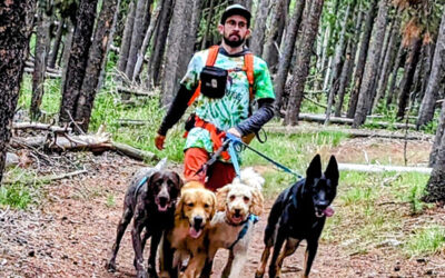 Top Reasons to Own a Hike Doggie Franchise