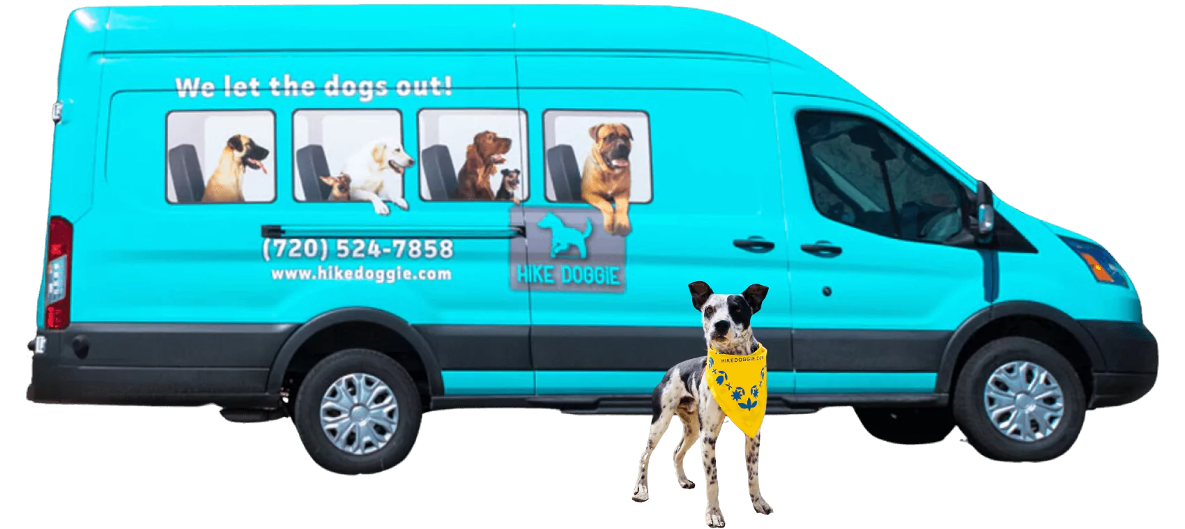 Hike Doggie Pet Franchise