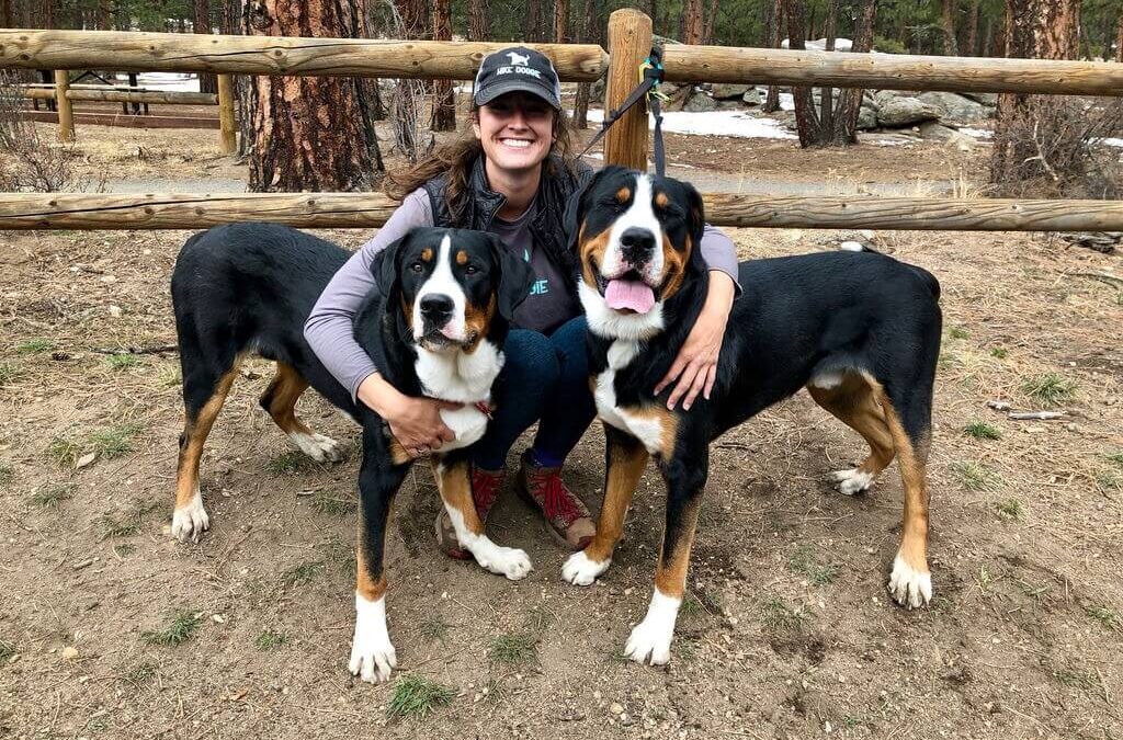 A Closer Look at Hike Doggie’s Dedicated Franchise Business Consultants