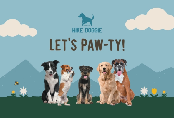 What You Need to Know About Hike Doggie’s Digital Ad Program
